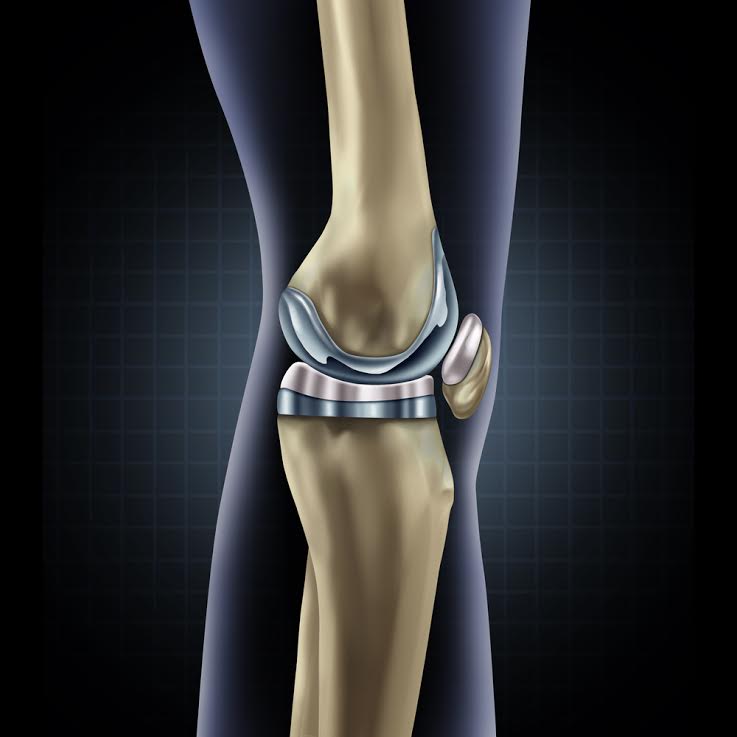 Attune knee replacement 3d rendering