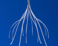 IVC Filter Celect vena cava filter