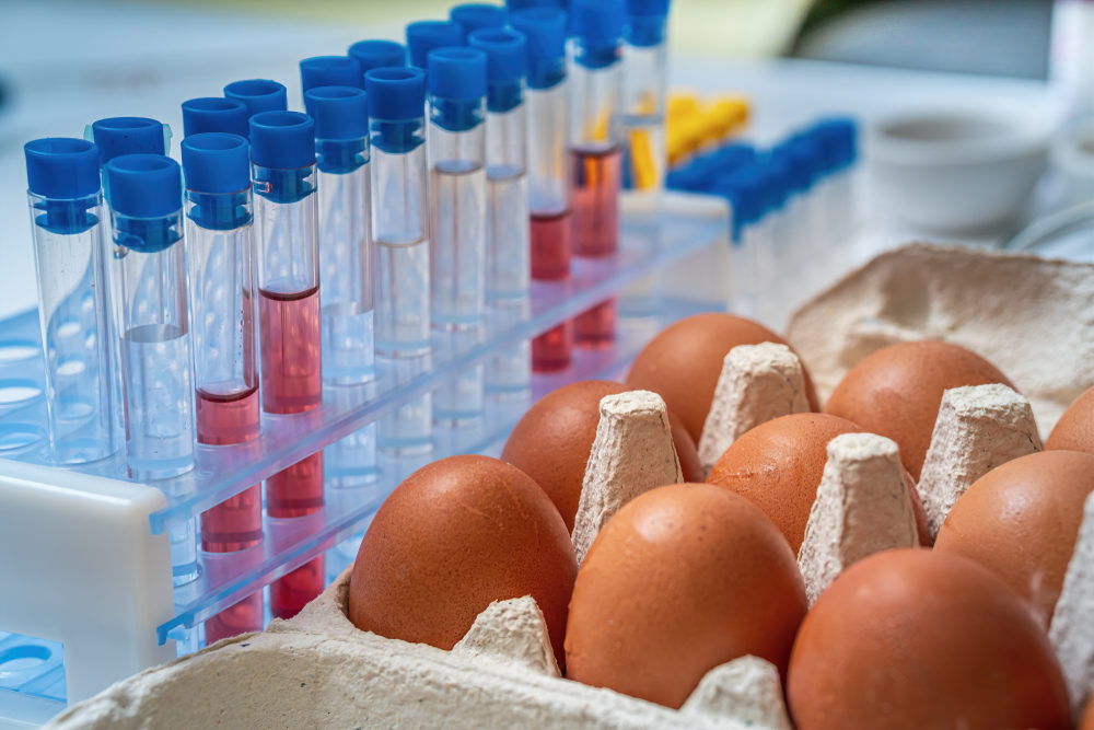 A carton of eggs sits beside a rack of full test tubes in a laboratory setting