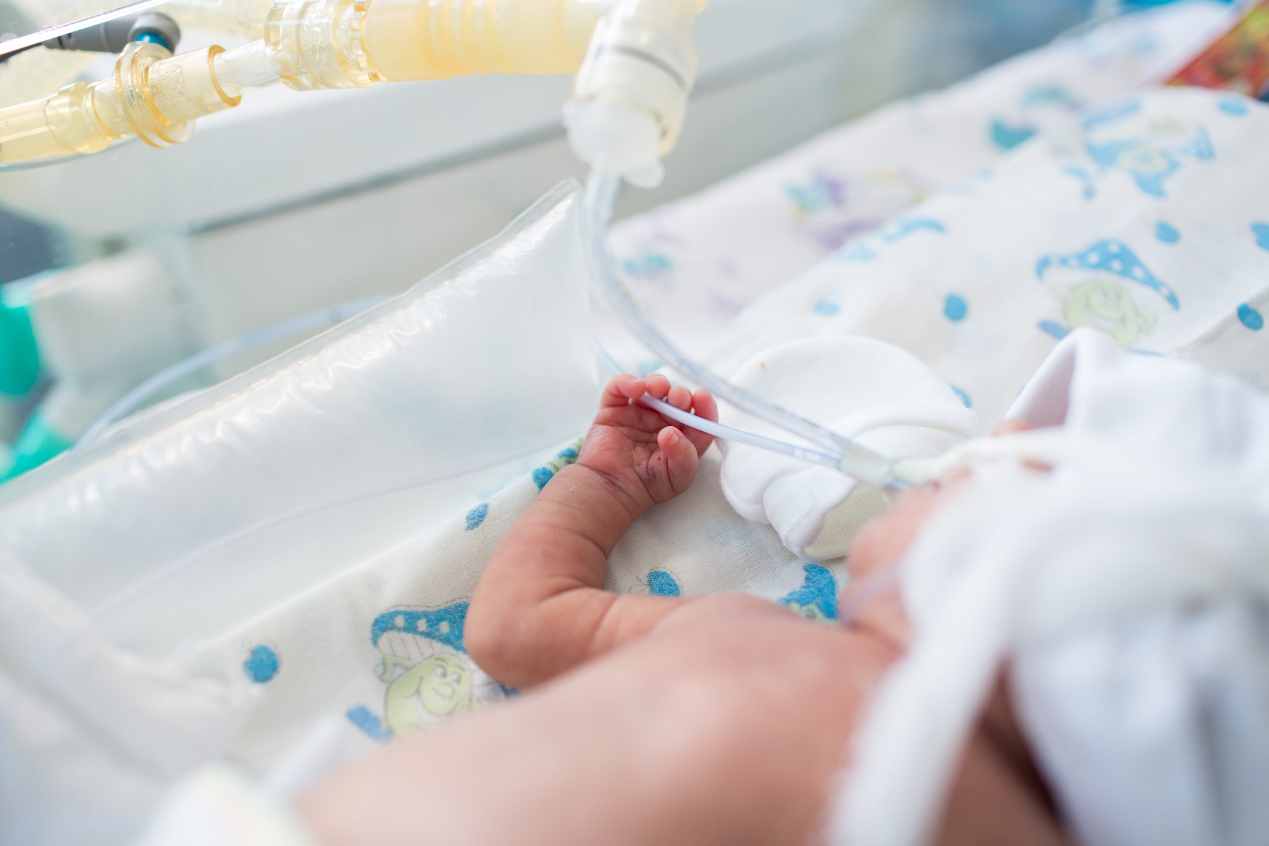 Premature baby lying inside an incubator in the hospital.