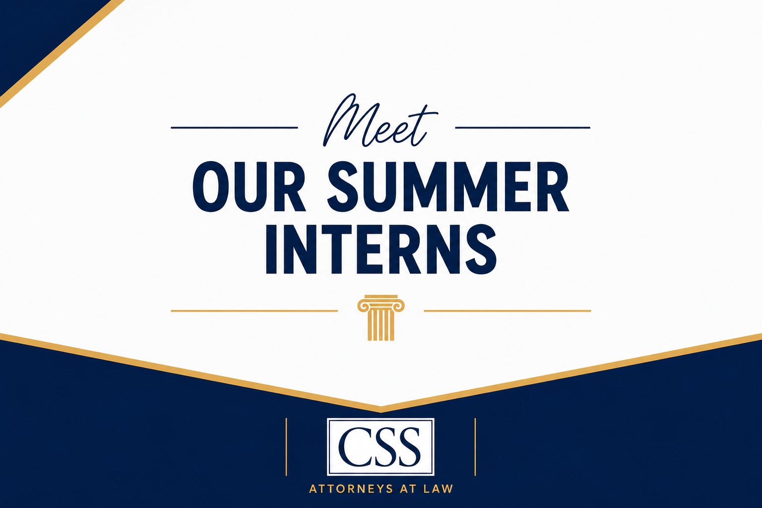 Meet the CSS Summer Interns